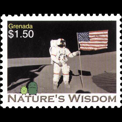 the stamp 10360 GRA 5 d�tail