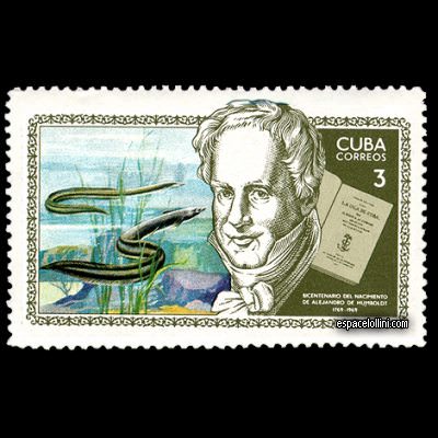 le timbre astronome CUB 1