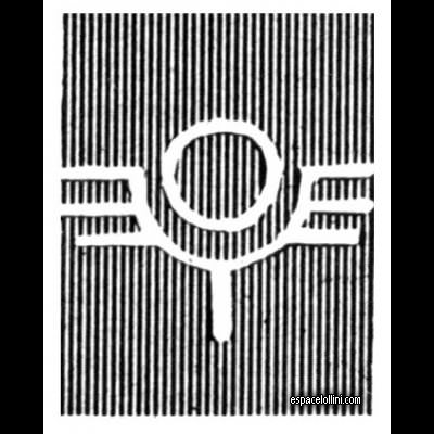 the stamp filigranne cercle ail