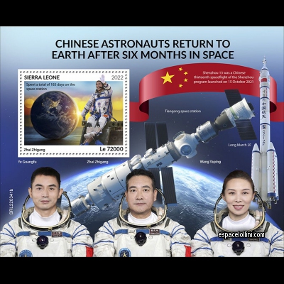 the stamp 10175 SIE 7 B